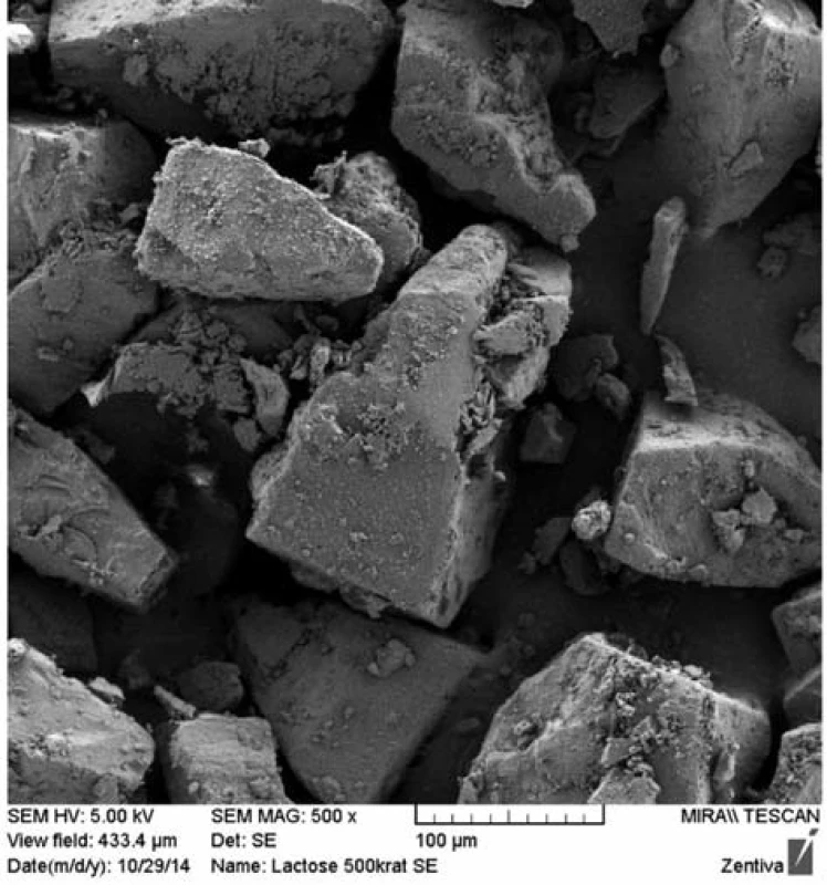 SEM image of α-lactose monohydrate Lactochem Fine Crystals