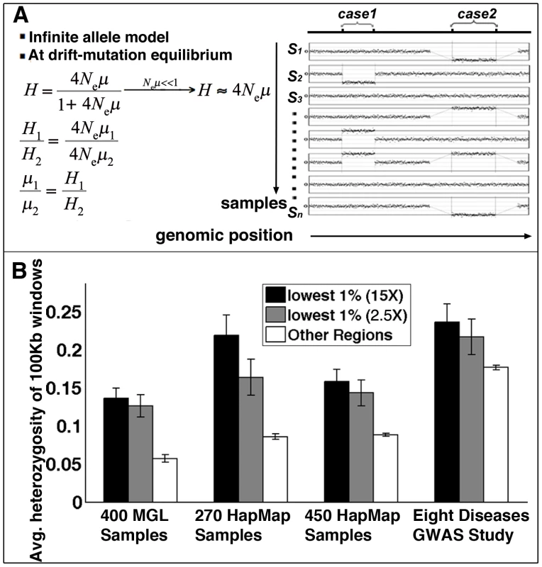 Structural mutability assessed by structural heterozygosity.