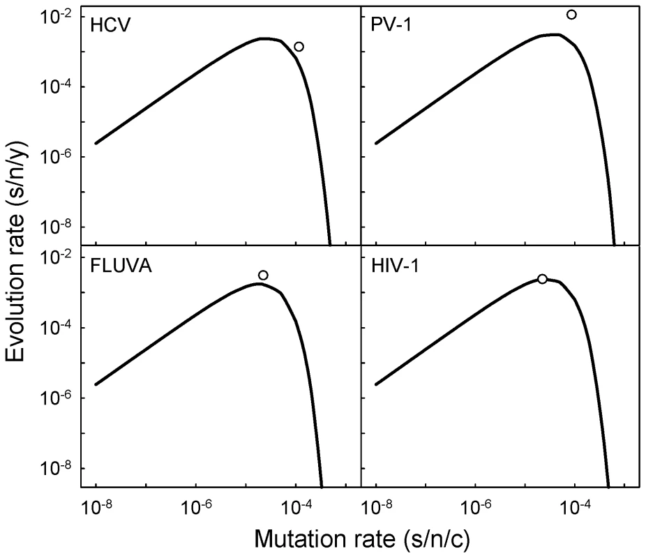 Expected relationship between mutation and evolution rates according to the neutral-deleterious evolution model for four human viruses: HCV (hepatitis C virus), PV-1 (poliovirus 1), FLUVA (influenza A virus), and HIV-1 (human immunodeficiency virus 1).