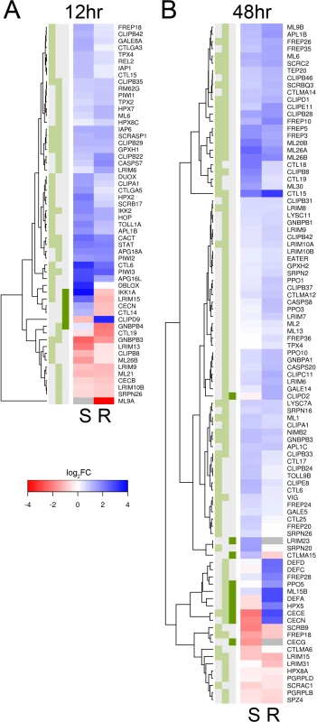 Immune-related genes that are differentially expressed in response to <i>B</i>. <i>malayi</i> infection.