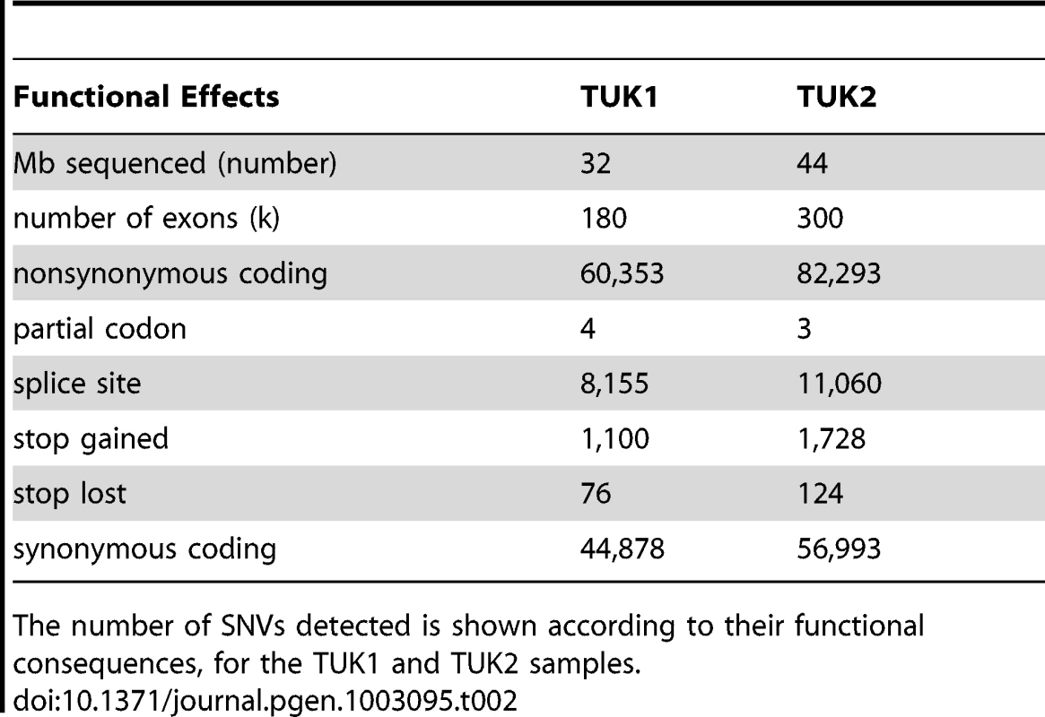 Details of the SNVs identified in TUK1 and TUK2 samples.