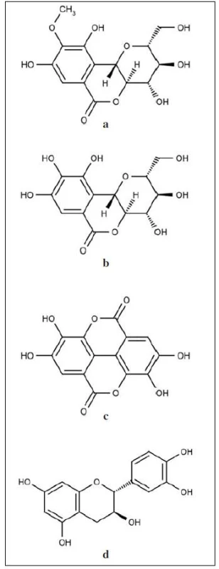 Strukturní vzorce obsahových látek z extraktů rodu Bergenia: a – bergenin (C-glykosid-4-O-methyl kyseliny gallové), b – O-demetylovaný derivát bergeninu norbergenin, c –kyselina ellagová, d – katechin&lt;sup&gt;5, 11, 18, 58)&lt;/sup&gt;