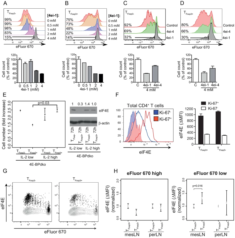 eIF4E controls proliferation in T cell subsets.
