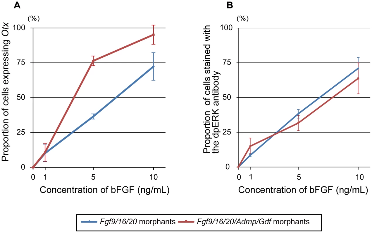 <i>Fgf9/16/20/Admp/Gdf1/3-like</i> morphants respond more sensitively to human bFGF than <i>Fgf9/16/20</i> morphants.