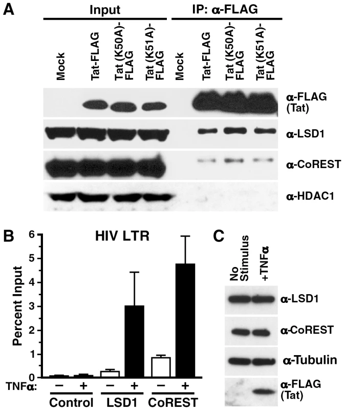 <i>In vivo</i> recruitment of LSD1 and CoREST to the HIV LTR.