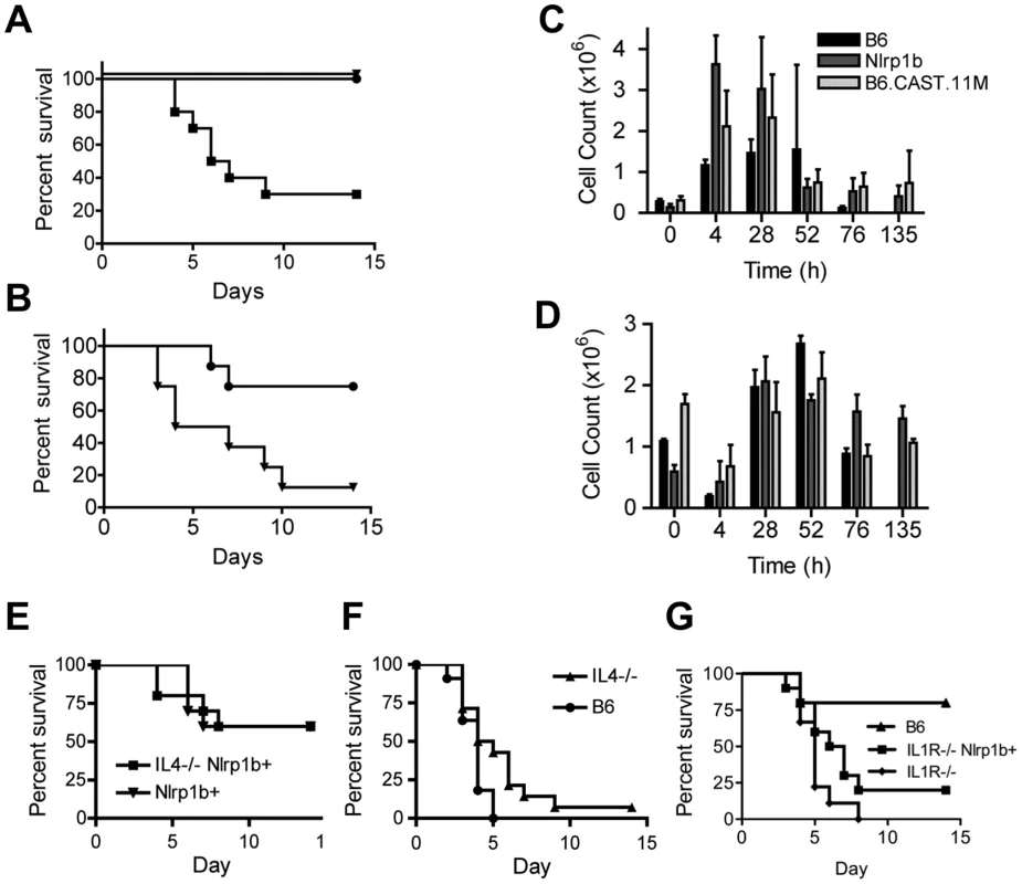 B6.CAST.11M mice display increased resistance to infection by <i>B. anthracis</i> Sterne.