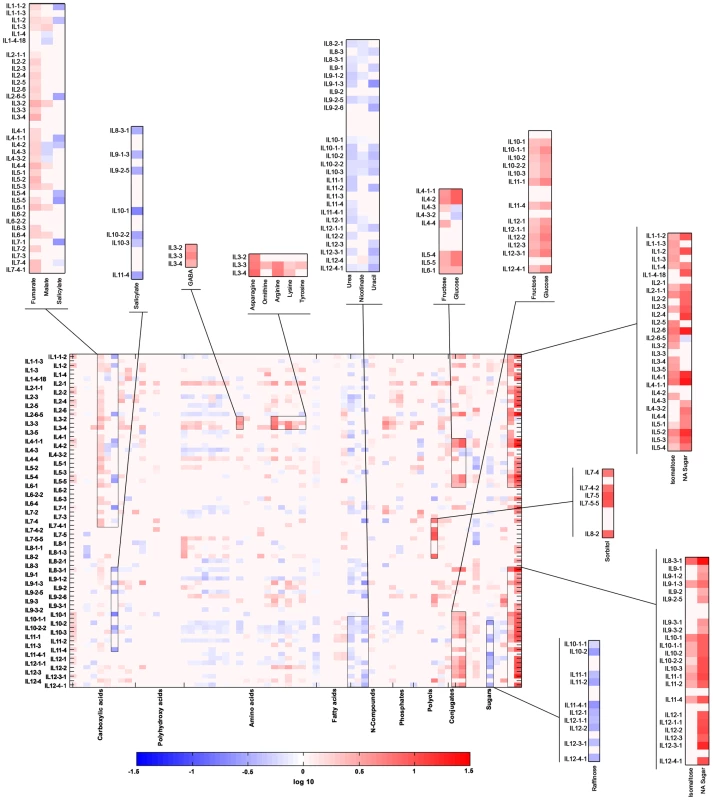 Heat map of metabolites measured across the IL collection during season I.