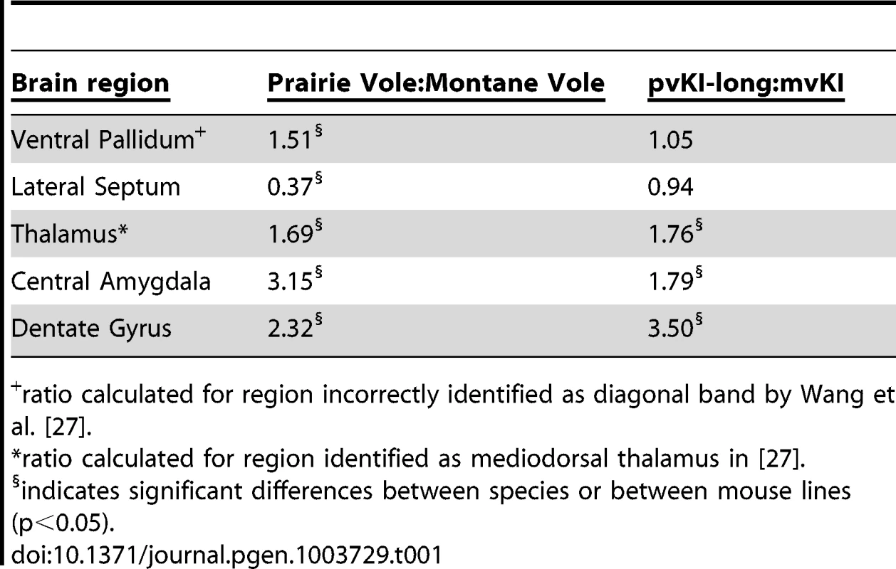 Comparison of V1aR binding ratios in prairie∶montane voles and pvKI-long∶mvKI mice.