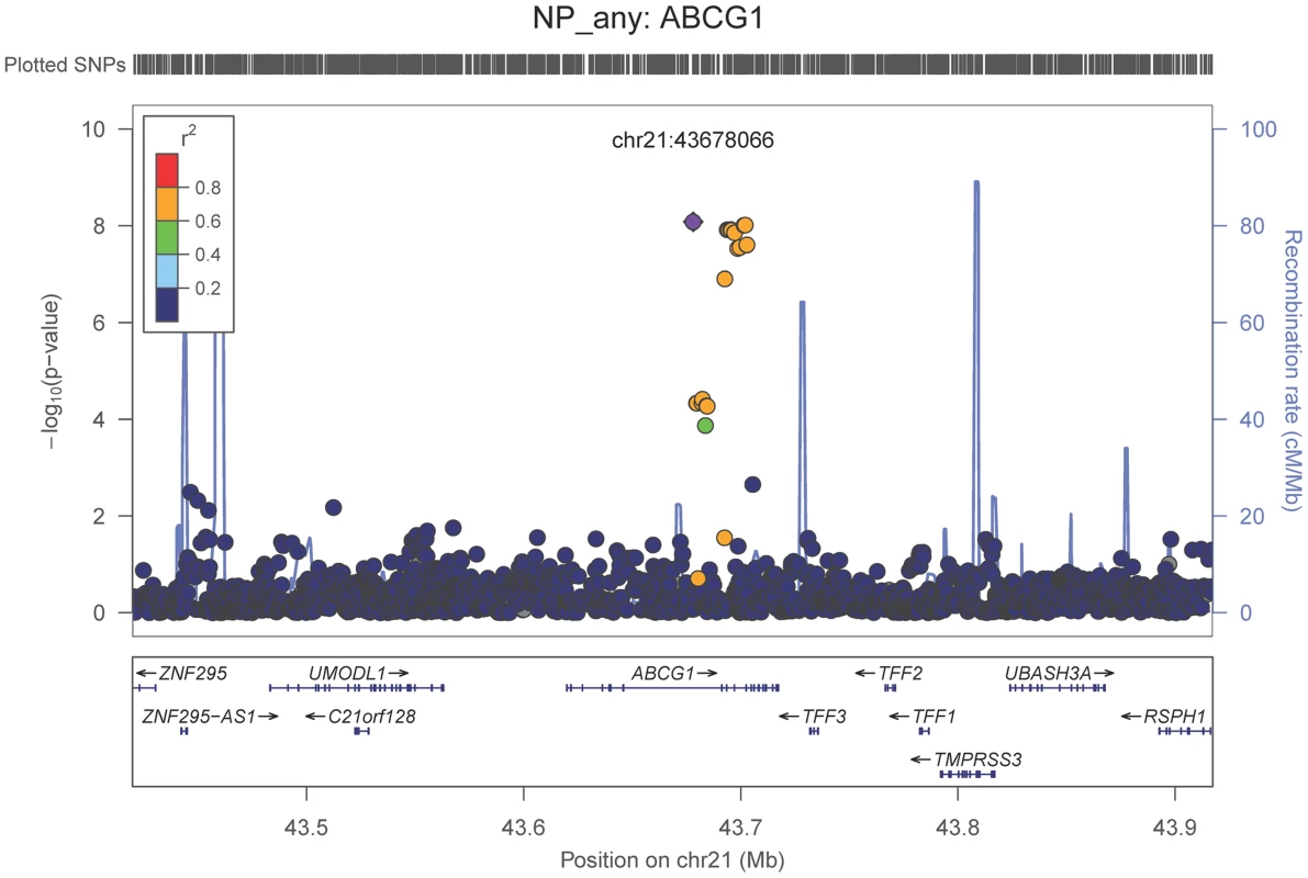 Regional association plot for <i>ABCG1</i> and the neuritic plaque (any vs. none) analysis.