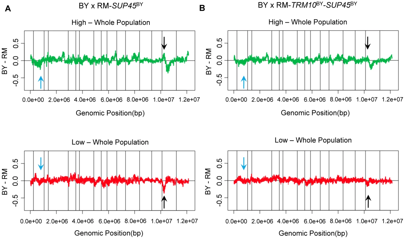 Polymorphisms in <i>TRM10</i> and <i>SUP45</i> explain readthrough difference between BY and RM.