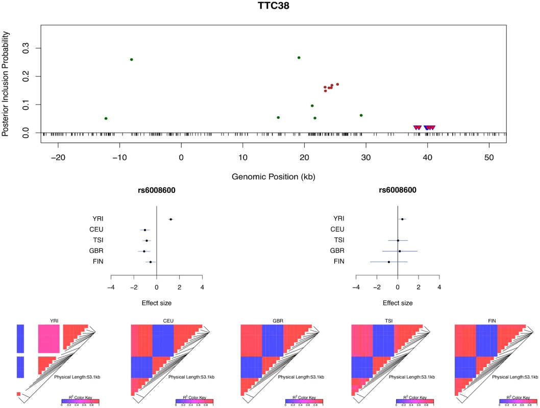 Multi-SNP analysis explains strong effect size heterogeneity observed in single SNP analysis.
