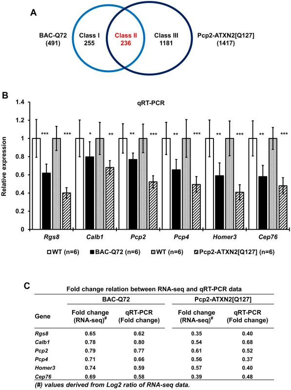 Comparison of transcriptome changes in BAC-Q72 and Pcp2-ATXN2[Q127] mice.