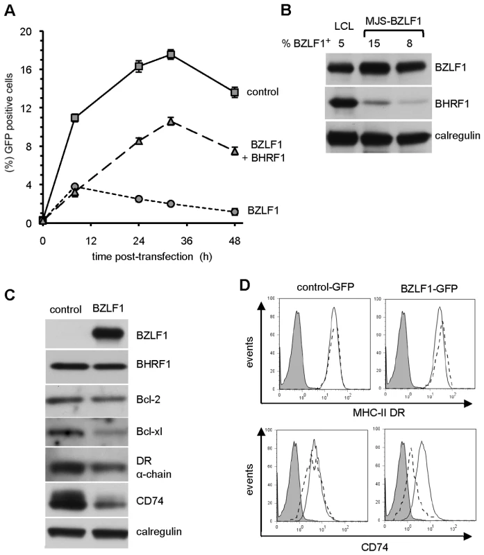 BHRF1 counteracts BZLF1 toxicity.