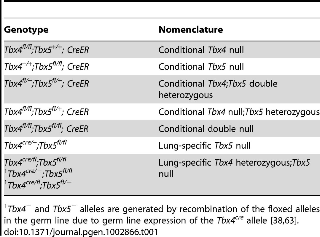 Different allelic combinations and the descriptive nomenclature.