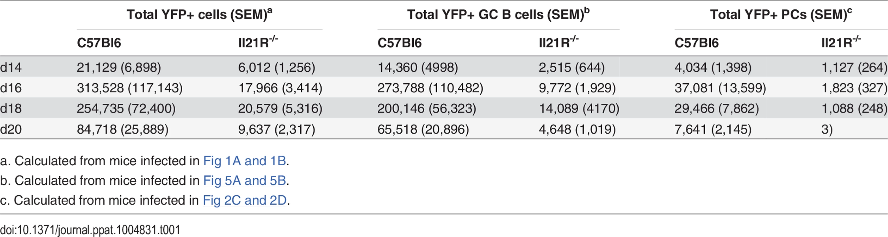 Average number of YFP<sup>+</sup> cells per spleen.
