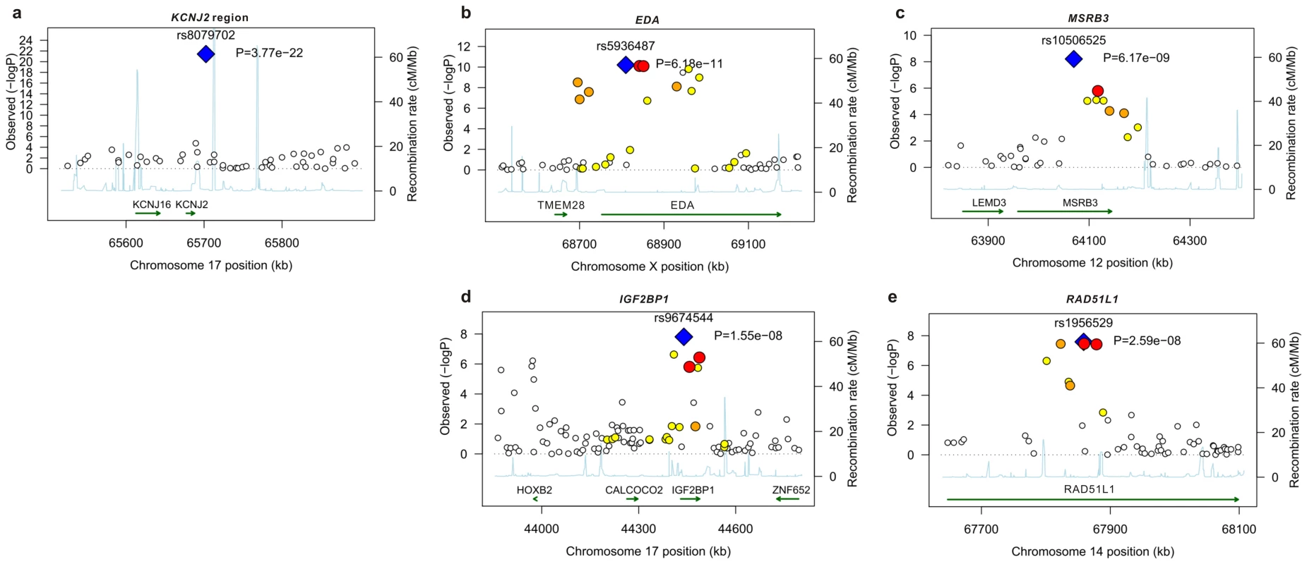 Linkage disequilibrium and association at loci reaching genome-wide significance for primary tooth development in meta-analysis of NFBC1966 and ALSPAC.