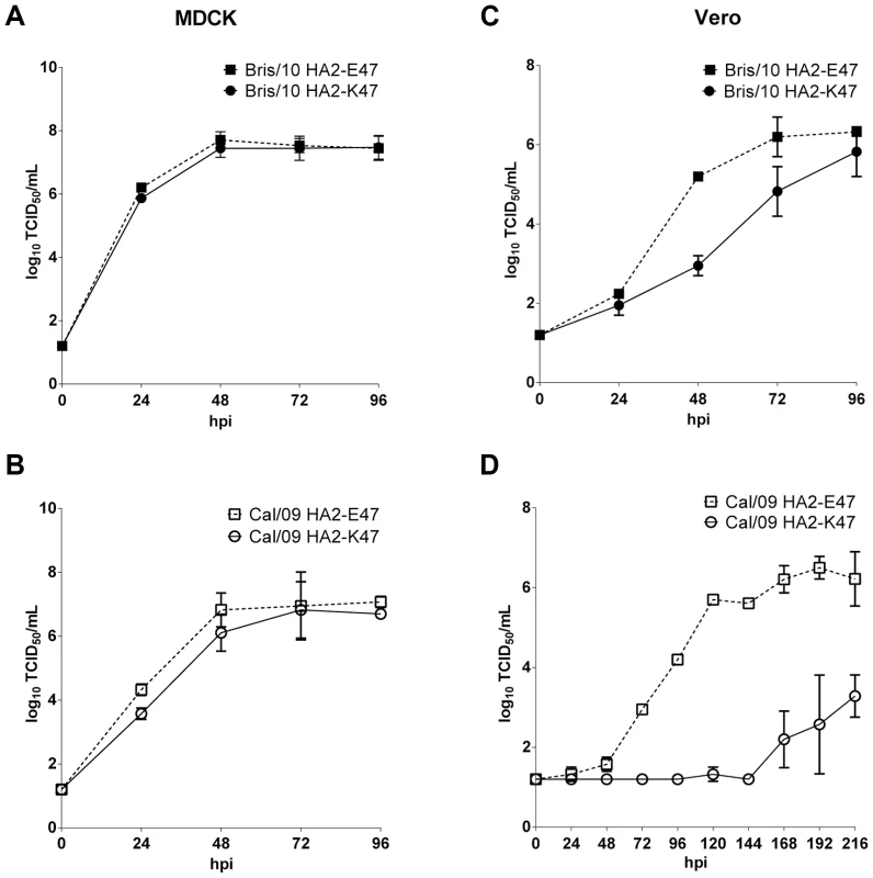 Growth kinetics of H1N1pdm viruses with HA2-E47 or K47 in MDCK and Vero cells.