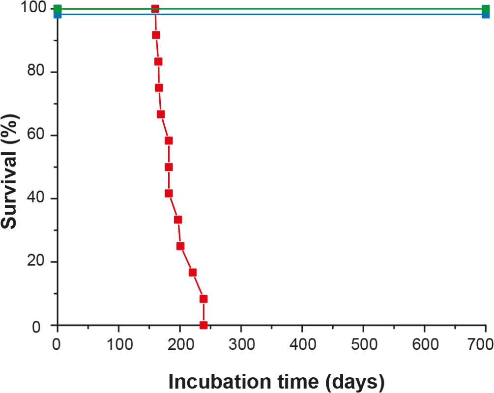 Survival time of ovine PrP transgenic rabbits infected with scrapie.