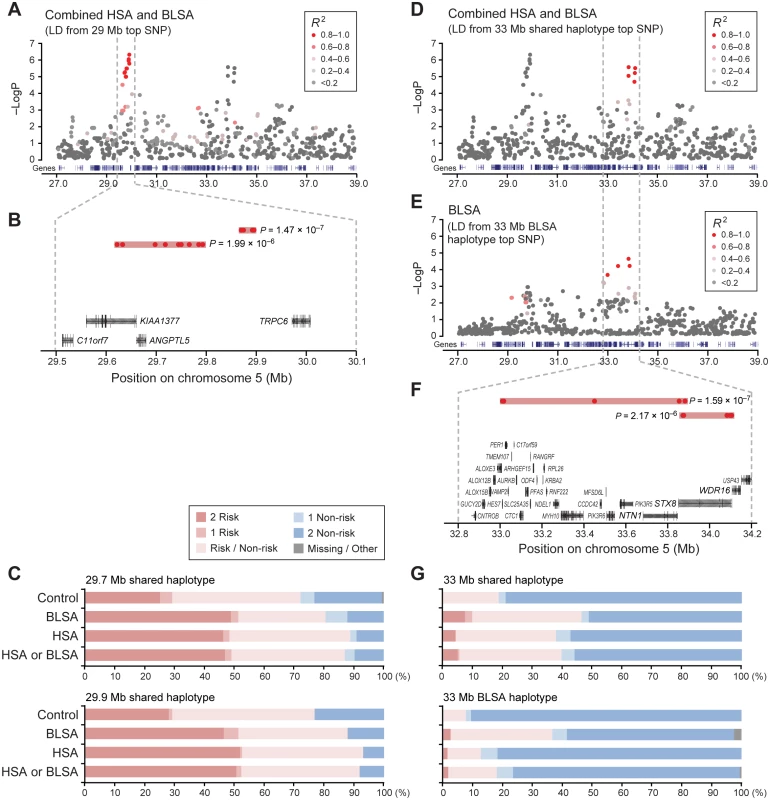 Two neighboring loci on chromosome 5 are independently associated with disease risk.