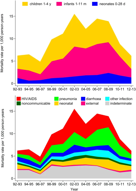 Under-five mortality rates at the Agincourt site from 1992 to 2013, by age group and by cause of death category.