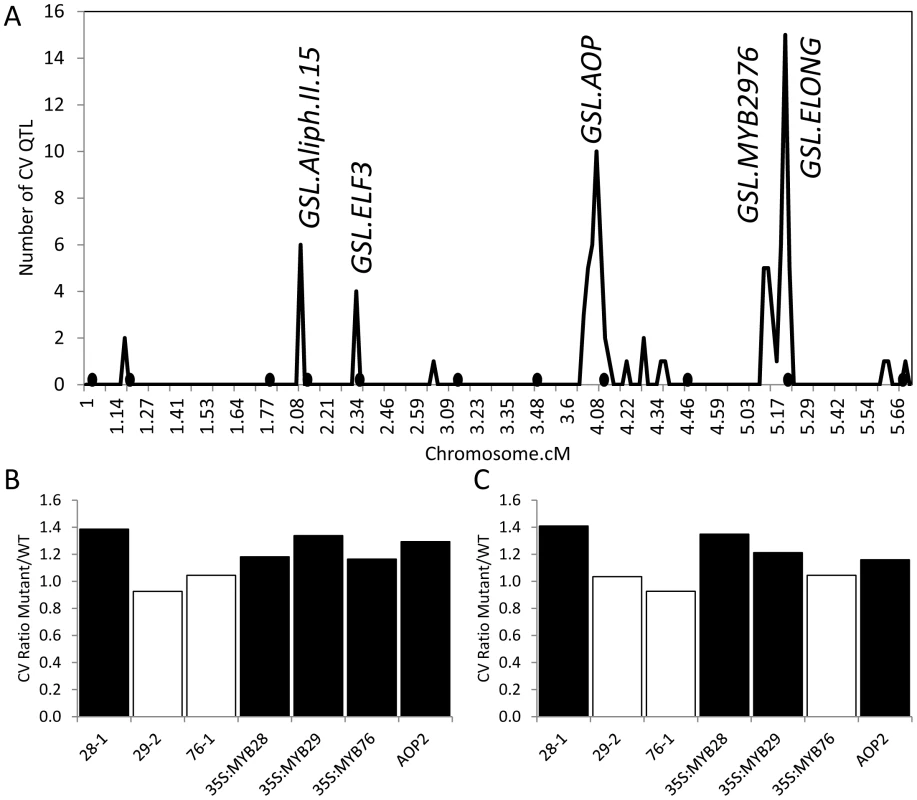QTLs and known genes controlling per line CV in Glucosinolates.