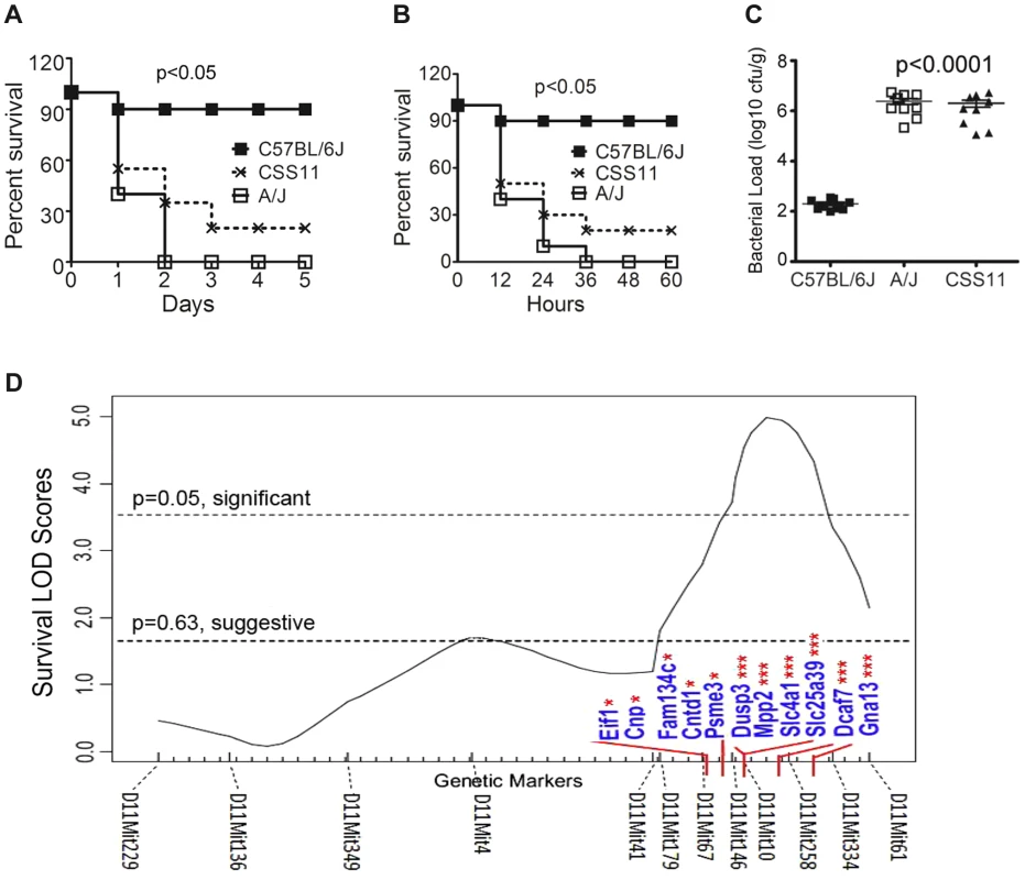 Chromosome substitution strain 11 was susceptible to <i>S. aureus</i> infection, and QTL mapping found eleven putative candidate genes on Chr11.