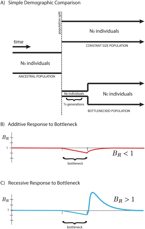 Response of the <i>B</i><sub><i>R</i></sub> statistic for additive and recessive variation.