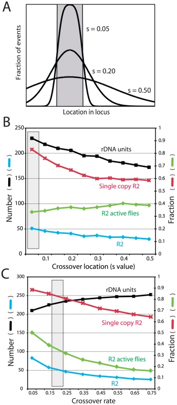 Effects of varying crossover location and crossover frequency on the properties of the simulated rDNA loci.