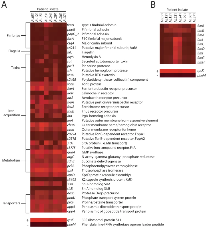 <i>E. coli</i> virulence factor expression in urines from UTI patients.