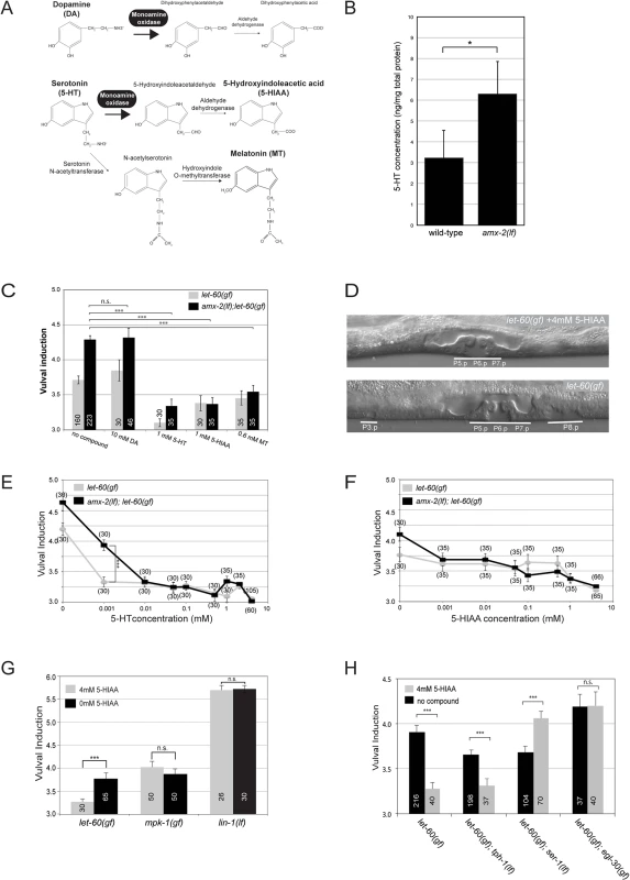 Systemic inhibition of RAS/MAPK signaling by Serotonin and its metabolites.
