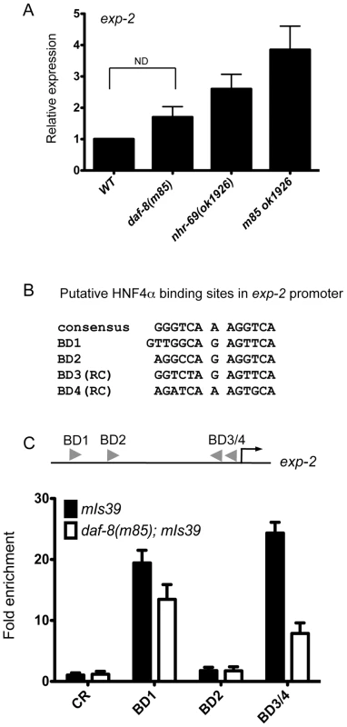 NHR-69 directly regulates <i>exp-2</i> transcription.