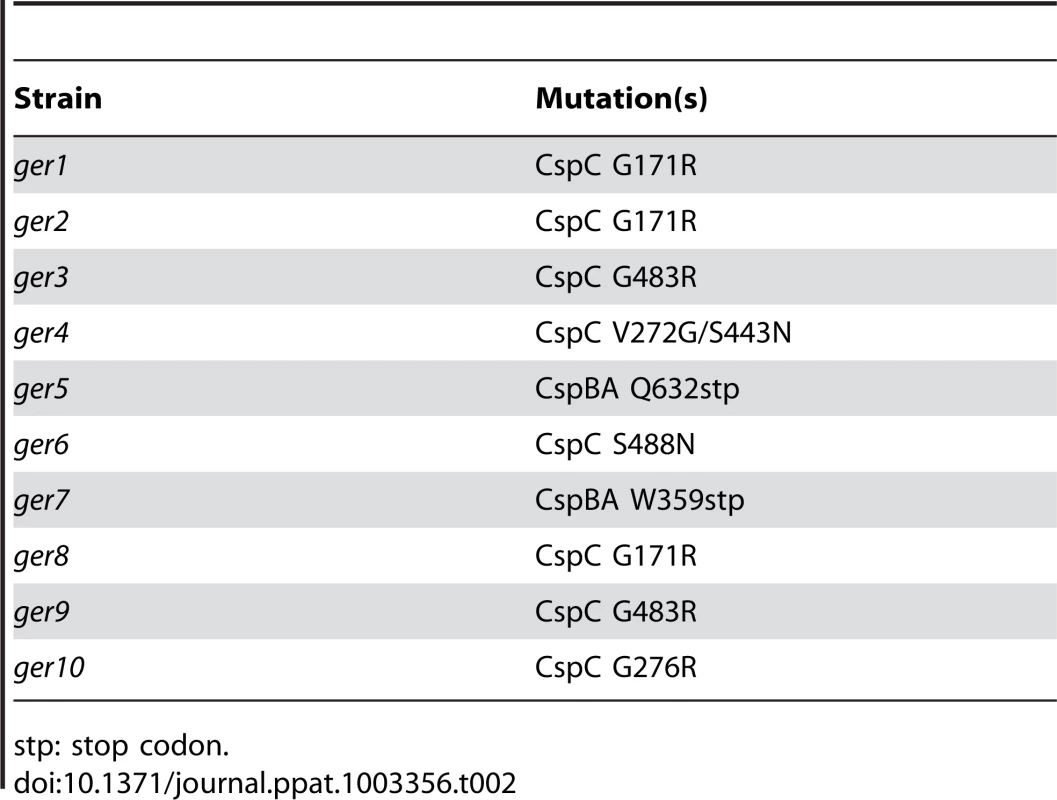 Locations of <i>C. difficile cspBAC</i> mutations in the <i>ger</i> mutants.
