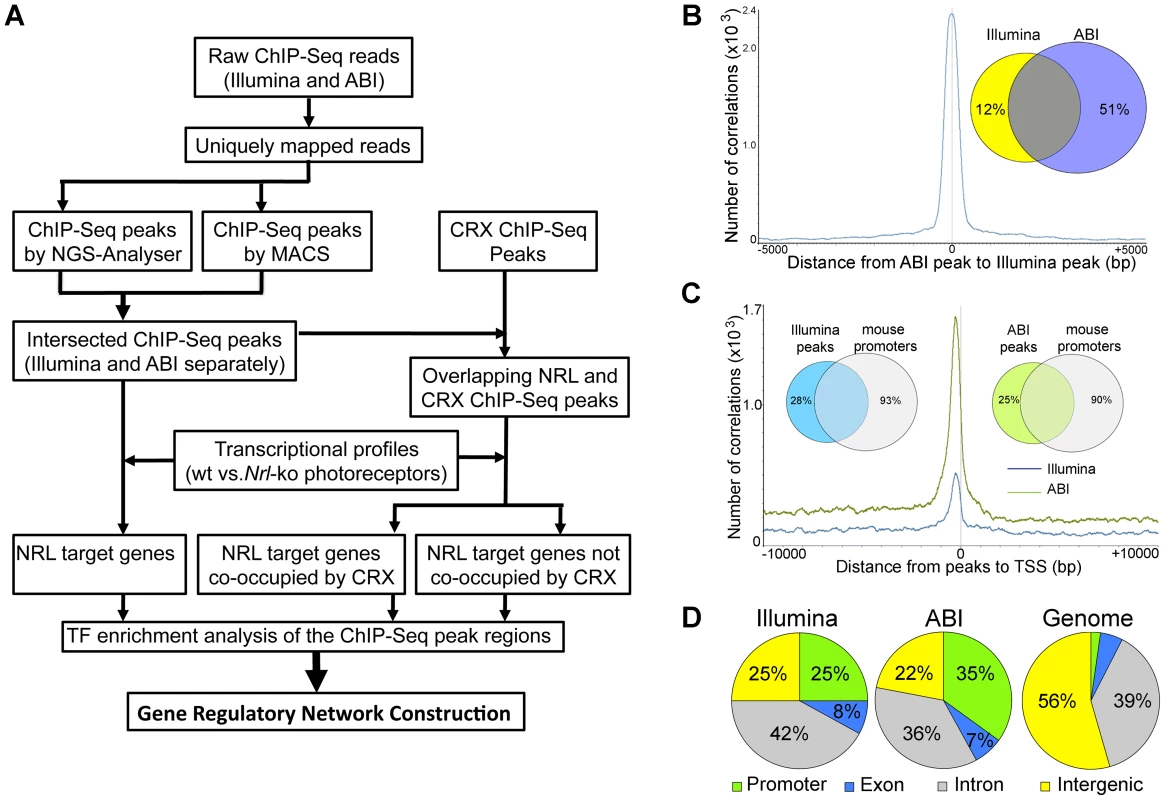 Genome-wide Occupancy of NRL revealed by ChIP–Seq using Illumina and ABI/SOLiD sequencing platforms.