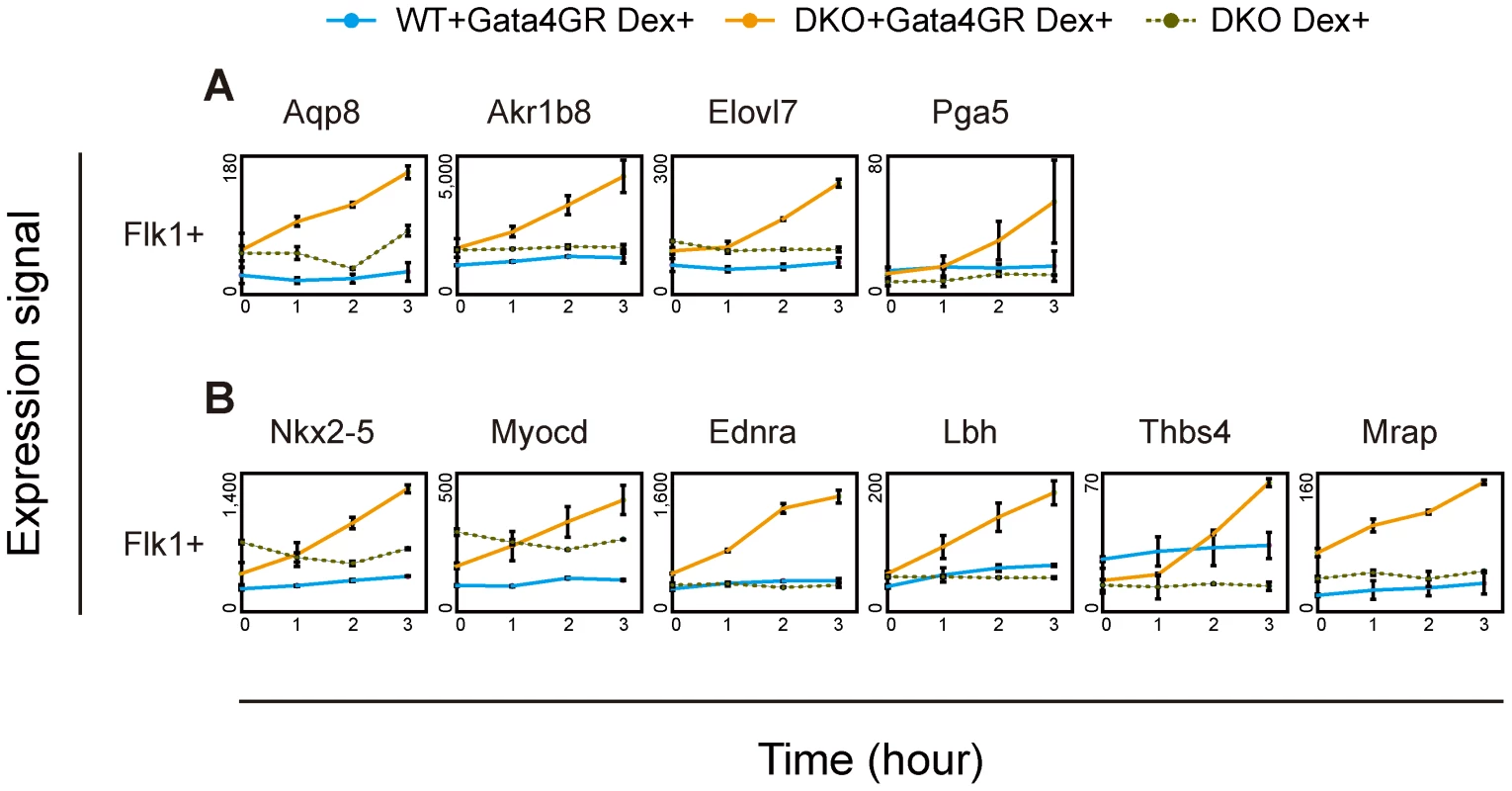 Immediate response to Gata4 in DKO Flk1(+) mesoderm cells.