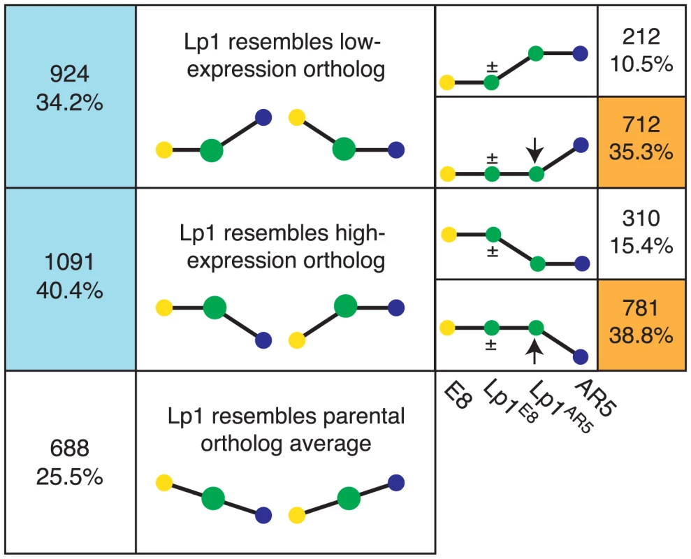 Frequent expression-level dominance from expression changes in the non-dominant homeolog.