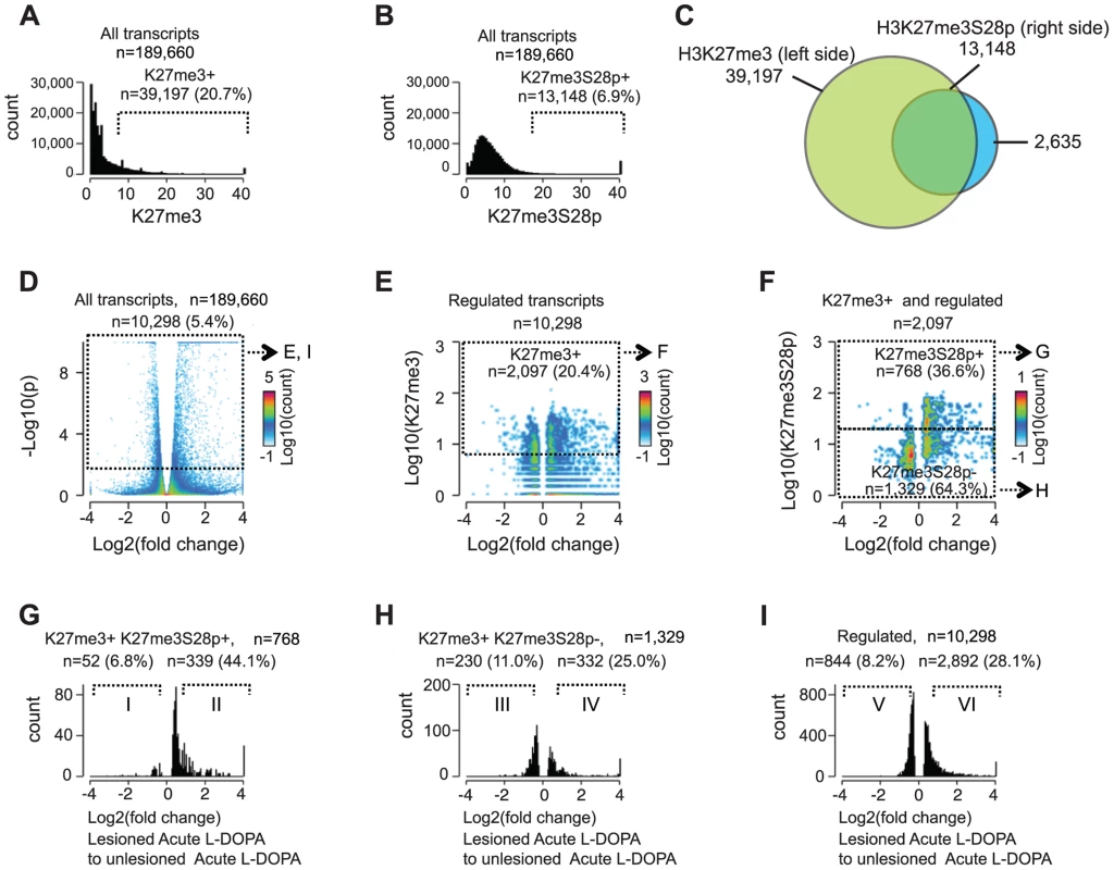 Induction of H3K27me3S28 phosphorylation genome wide correlates with an increase of mRNA transcripts from H3K27me3 marked gene loci.
