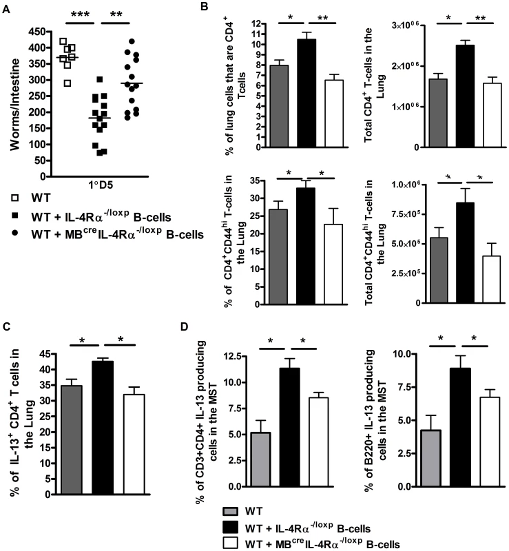 Rapid IL-Rα dependent B cell mediated protection against <i>N. brasiliensis</i> occurs in the lung.