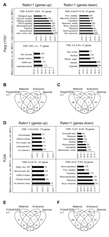 Genes that are affected by altered sperm histone association and differential gene expression in 2-cell embryo progeny in the <i>Parg</i>(110)<sup>−/−</sup> (A, B, C) and PJ34-treated (D, E, F) mouse models share some common functional relevance.