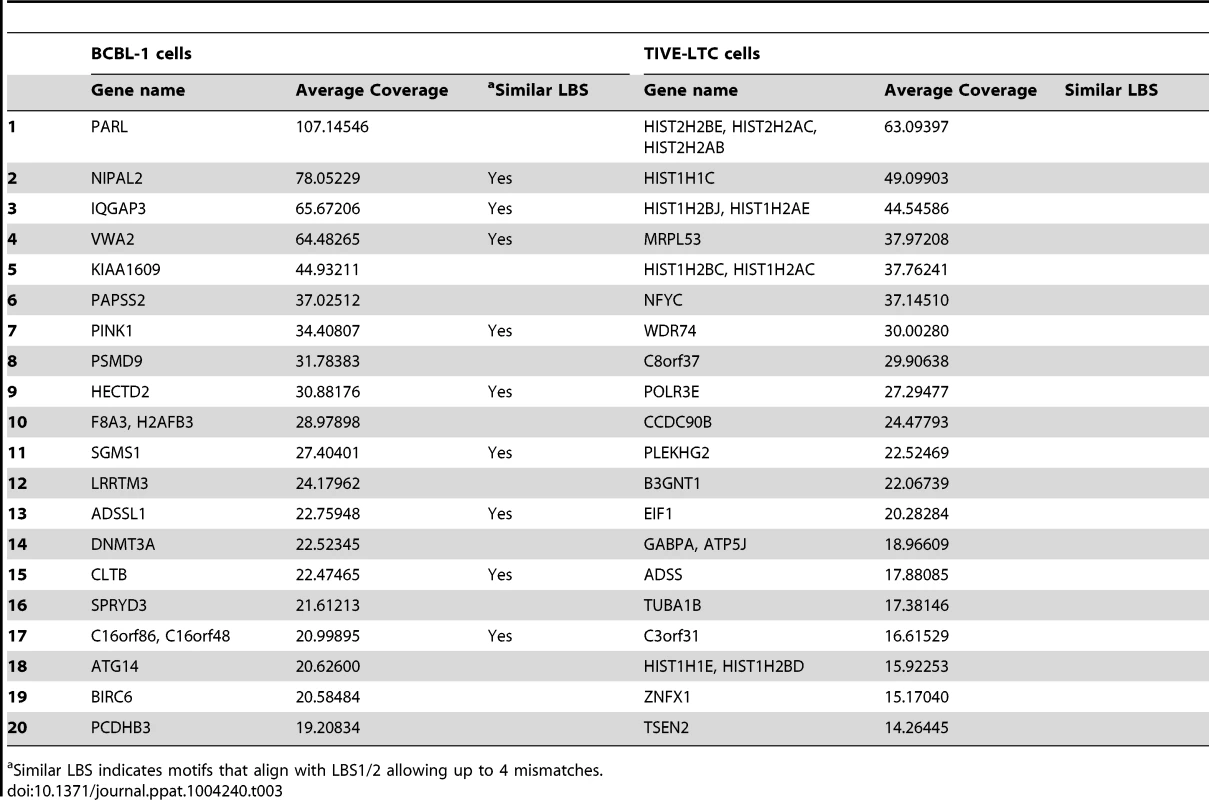 The top 20 annotated cellular genes with LANA association within the promoter region in BCBL-1 cells and TIVE-LTC cells.