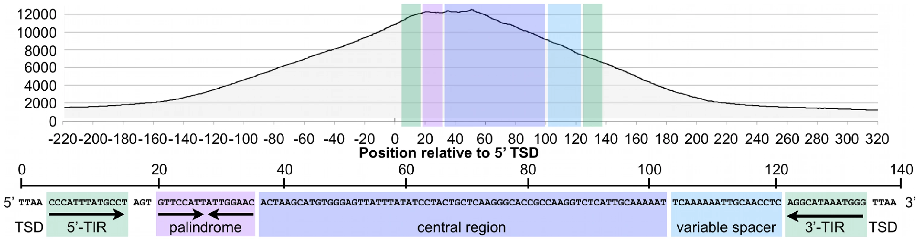 The CSB-PGBD3 fusion protein binds preferentially to the 5′ palindromic sequence of all bound MER85s in the human genome.