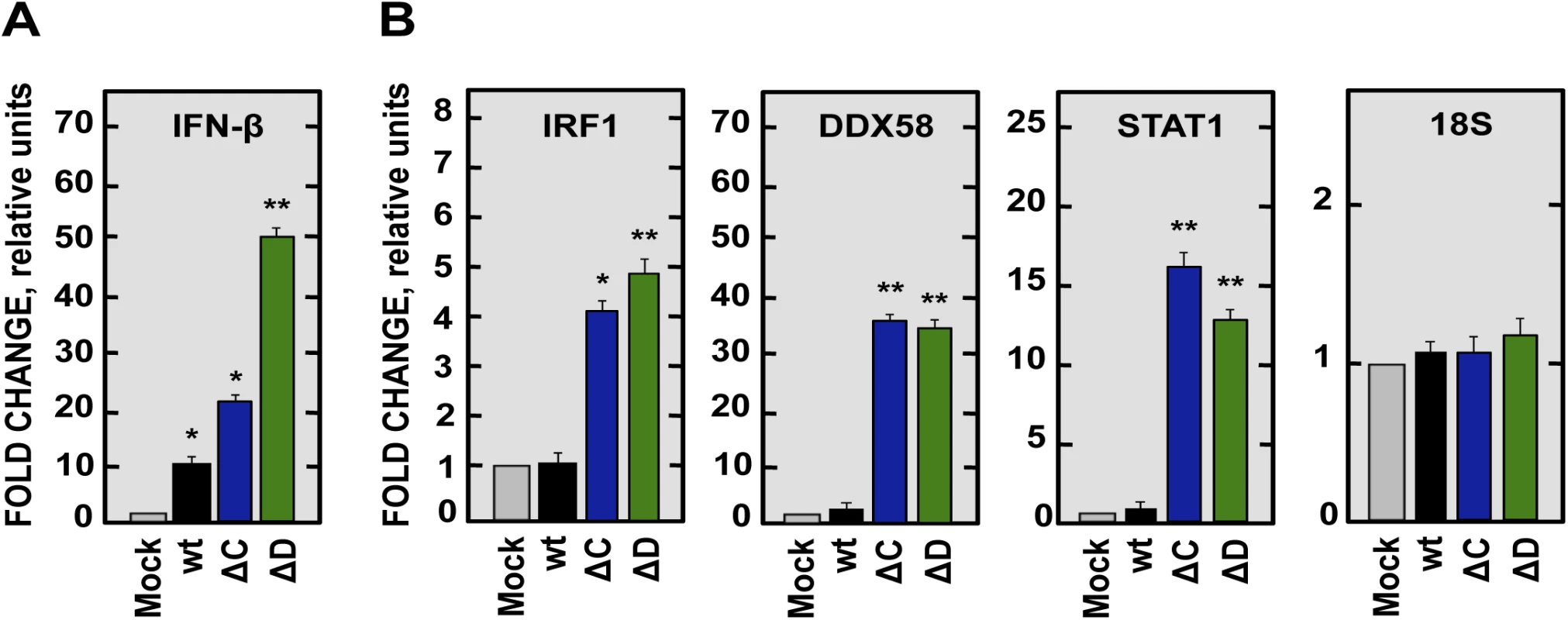 Expression of IFN-β and ISGs in SARS-CoV-nsp1* attenuated mutants infected cells.
