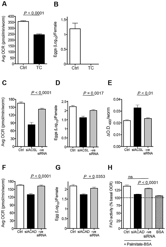 Loss of ACSL and ACAD function inhibits egg production.