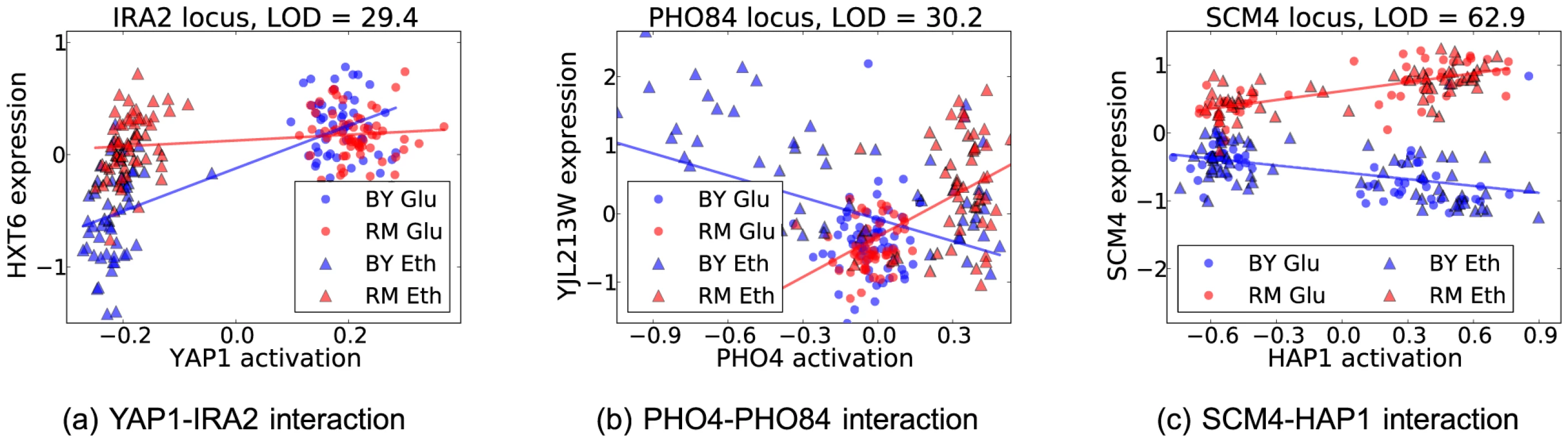 Three broad classes of interaction effects between locus genotype and transcription factor activation affecting gene expression (for details see text).