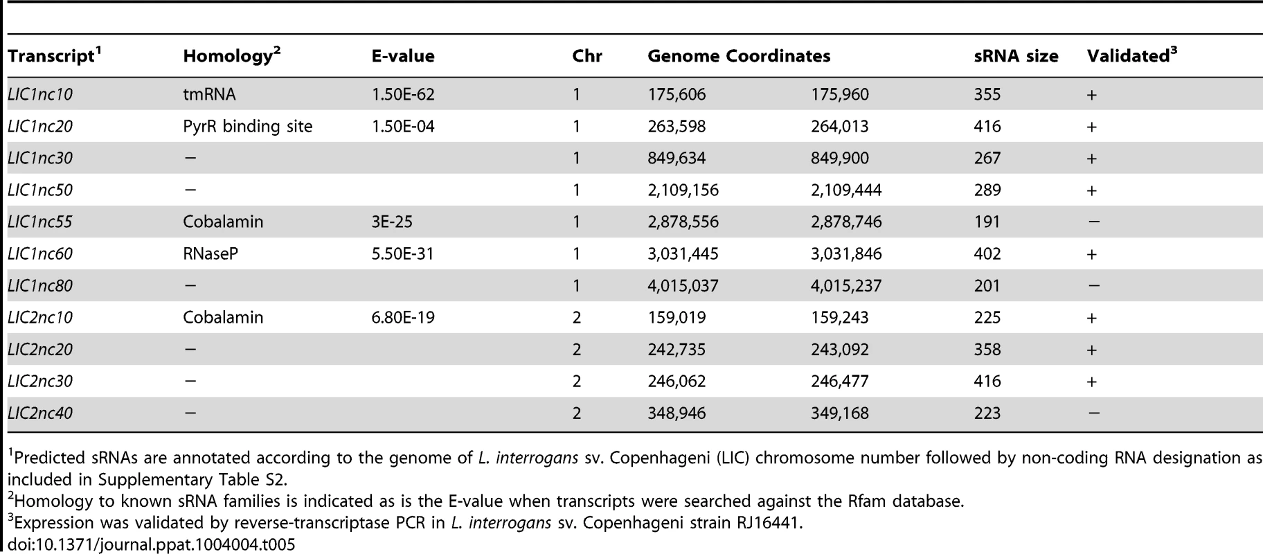 Candidate small non-coding RNAs identified by RNA-Seq.