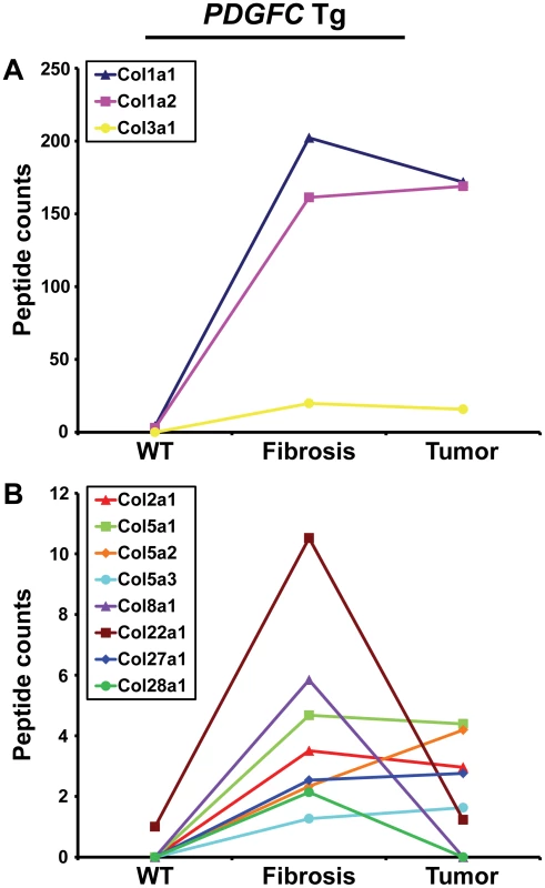 Collagen proteins up-regulated in <i>PDGFC</i> Tg fibrotic liver.