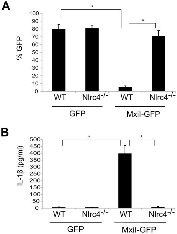 Expression of <i>Shigella</i> rod protein MxiI induces activation of the Nlrc4 inflammasome in macrophages.