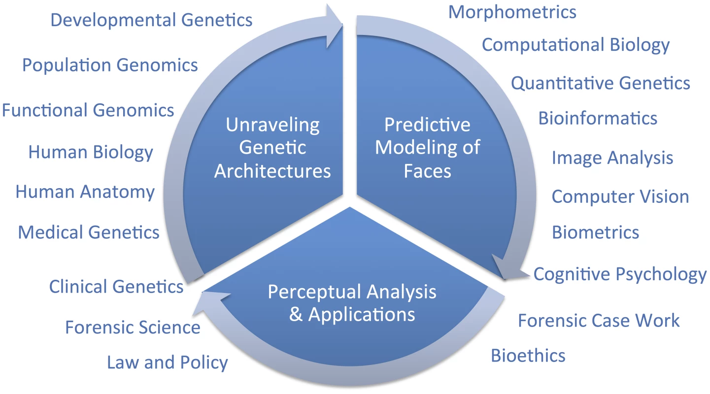 Diagram of a framework for research on modeling facial features from DNA.