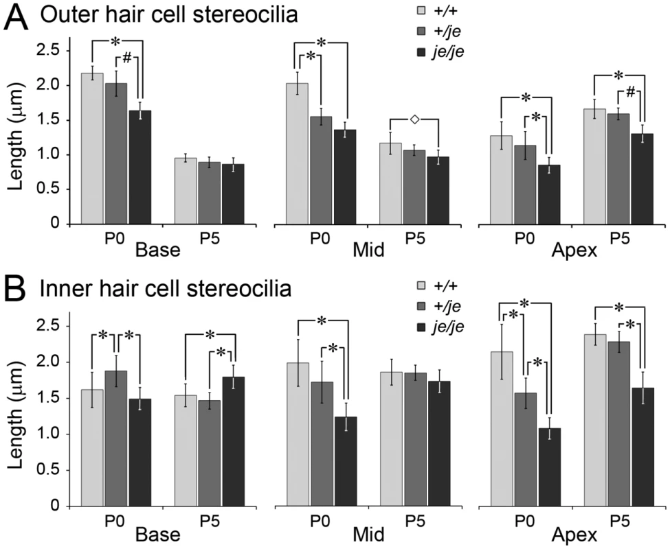 Stereociliary length measurements for cochlear hair cells in early postnatal <i>+/+</i>, <i>+/je</i>, and <i>je/je</i> mice.