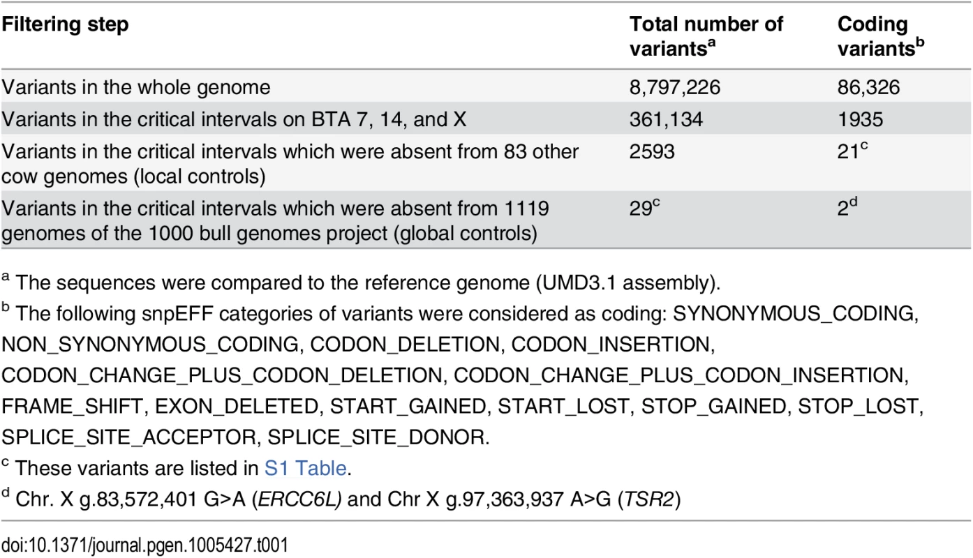 Variants detected by whole genome re-sequencing of an affected Pezzata Rossa cow.