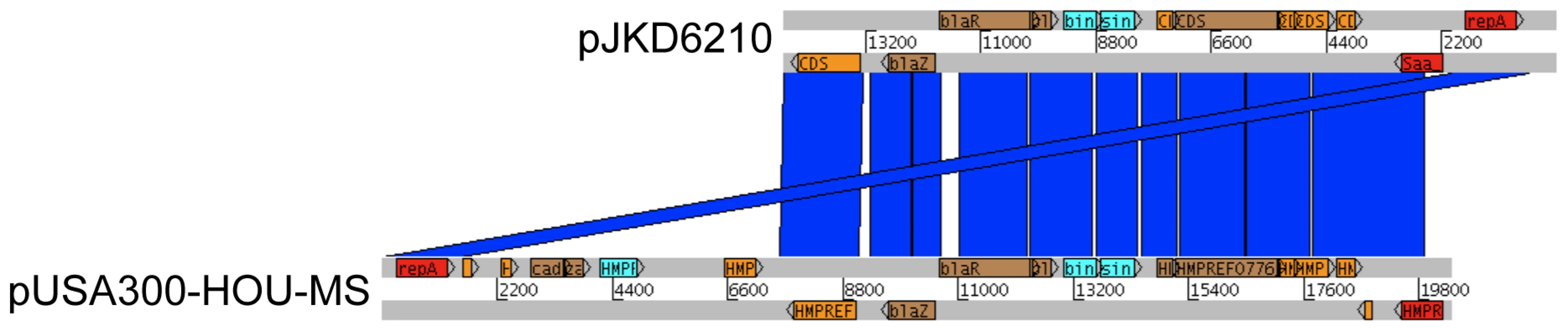 Sequence comparison of pJKD6210 and pUSA300-HOU-MS.